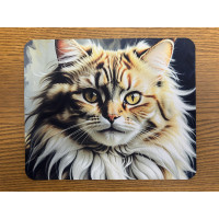Tapis de Souris
